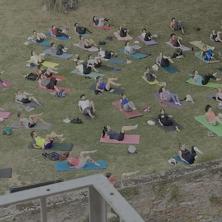 Lame61 * 博洛尼亚